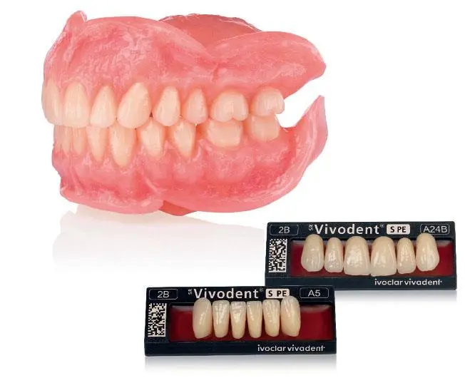 dientes ivoclar - Cómo se le llama a la parte de arriba de los dientes